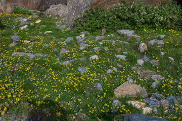 beautiful mauntain landscape in Italian Dolomites Alps. Passo Pordoi. South Tyrol. Italy