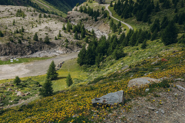 Fototapeta premium A scenic view of rolling green hills and distant mountains in the Alps Mountains