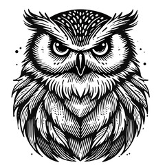 Obraz premium Wise Owl Face Portrait in Mysterious Dark Tones with Intricate Details