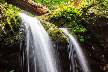 Obraz premium A waterfall with moss growing on the rocks