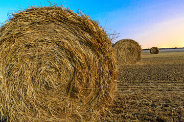 A field of hay with three large piles of hay
