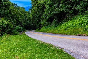 A road with a grassy median and trees on either side