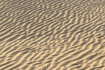 Naftah, Tozeur, Tunisia. Ripples in sand in the Tunisian desert.