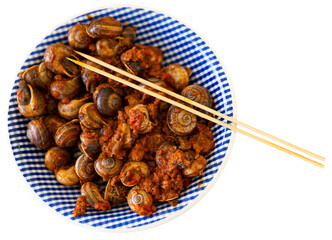 Delicacy snails with minced meat and tomatoes. Mediterranean dish. Isolated over white background