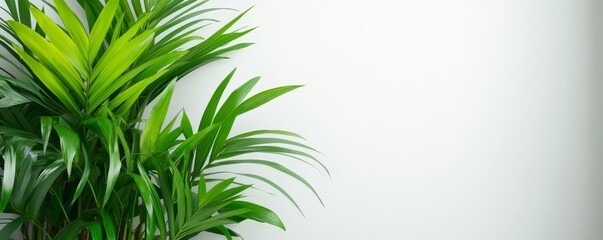 Fototapeta premium White bathroom featuring bamboo details and lush green plants