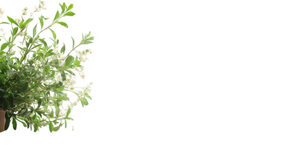 Blurred office background isolated on white background