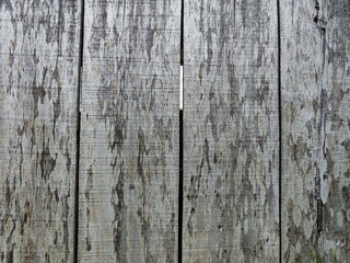 Fototapeta premium Gray wood board texture background