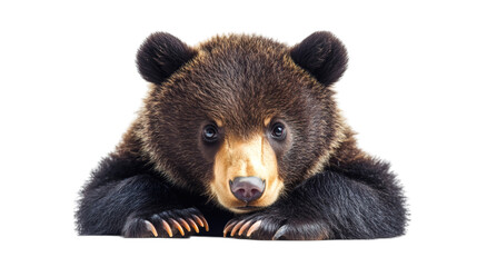 Cheeseburger with juicy fillings and toppings isolated on white background