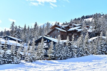 Ski resort view with chalets between snowy trees