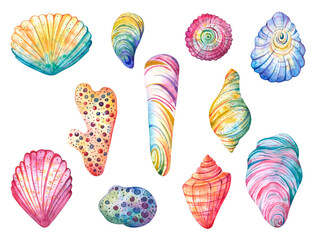 Set of Seashells and pebble colorful decorative watercolor illustration isolated on white