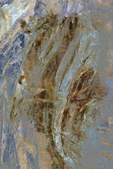 Abstract composition based on natural plant materials in silvery gray tones