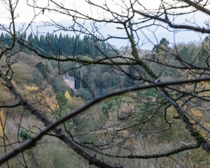 castle in the woods