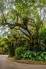Exploring a beautiful tropical botanic garden in Coral Gables, Florida.