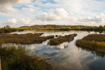 Exploring the marshy area in the Attenborough Nature Reserve in Nottinghamshire.