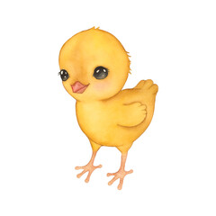 Hand-Painted Watercolor Easter Chick – Spring Animal Illustration