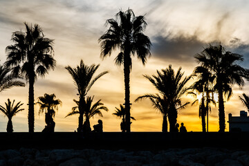 Obraz premium Palm trees and people silhouettes at sunset in Malaga, Andalusia province, Spain.