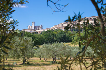 Assisi - The landsacpe with the Basilica di San Francesco.