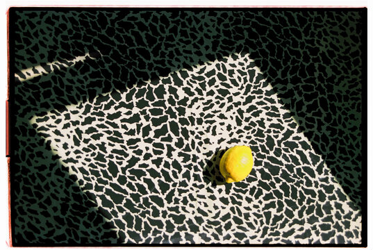 Yellow lemon on abstract black and white patterned surface