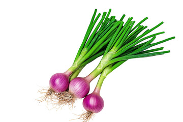 red onion and green onion
