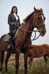 Obraz premium A person riding a horse in a field