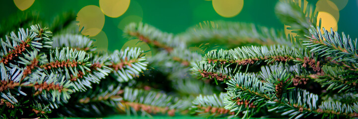 The image showcases lush evergreen branches adorned against a background of festive, glowing bokeh lights, evoking a sense of celebration and warmth.