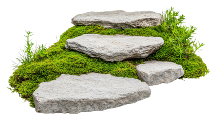 Rustic stone steps surrounded by lush green moss and plants.