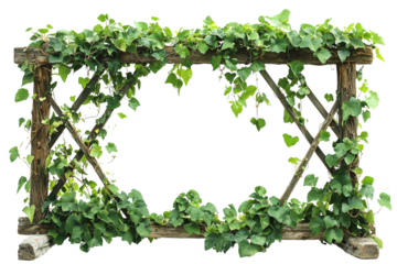 Rustic wooden trellis adorned with lush green climbing vines.