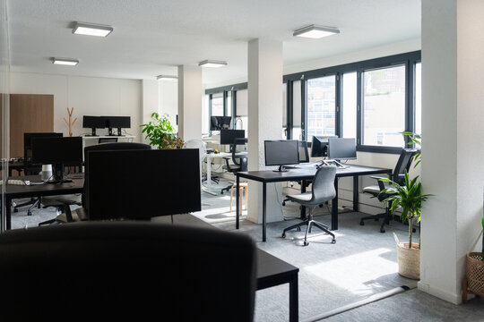 Bright Open-Plan Office With Modern Workstations and Natural Light