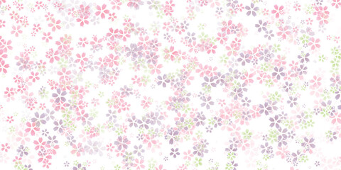 和柄　桜　春　背景