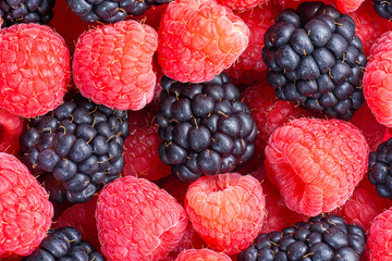 Ripe black and red berries close-up top view