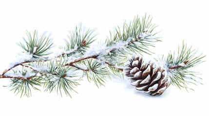 A single pine cone on a white isolated background. Frostglint. Illustration