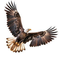 Fototapeta premium Majestic bald eagle soaring with wings spread wide, showcasing its powerful presence and elegance against a transparent background.