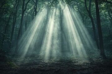 Obraz premium Sunlight beams filtering through dense forest canopy in serene natural setting. Generative AI