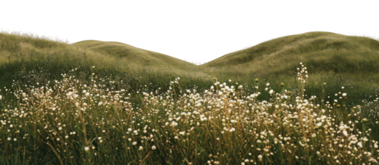 PNG Spring flowers bushes border landscape grass hills.