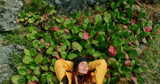Young hiker wearing yellow jacket and beanie is lying on a patch of bergenia crassifolia with hands behind her head, enjoying the sun and the fresh air during a trekking day in the mountains