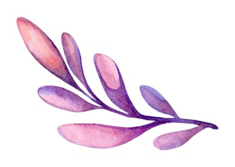 Naklejka premium Delicate watercolor illustration of a botanical branch with soft hues showcasing nature's beauty