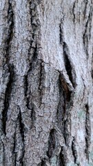 close up view of wood texture