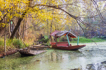 Obraz premium Rainawari, Srinagar, Jammu and Kashmir, India. Abandoned shikara boats at Dal Lake.