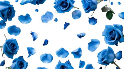 Blue roses, petals falling down, white background, simple style, high-definition photography, many blue rose flowers on the left side of the screen, white space in the center, white background,