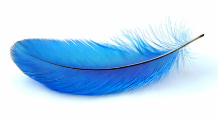 A Single Vivid Blue Feather Lies Gracefully on a Clean White Background