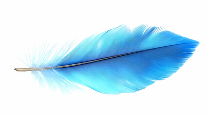 Light Blue Feather Lies Isolated on White Background with Delicate Barbules