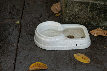 stagnant water Epidemic. possible breeding mosquitoes. proliferation of aedes aegypti, dengue fever, chikungunya, zika virus, mosquito larvae disease