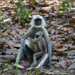 Female and her baby hugging her, sitting on the ground looking at camera