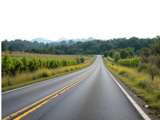 Fototapeta premium Asphalt road in the countryside, side, view, isolated on transparent background