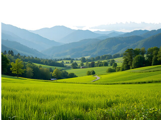 Countryside landscape with green field and mountains on background isolated on transparent background
