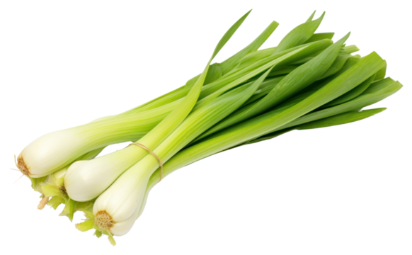 PNG Fresh leek vegetable plant food.