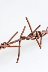Fototapeta na wymiar Close-Up of Rusty Barbed Wire on a White Background for Industrial Themes
