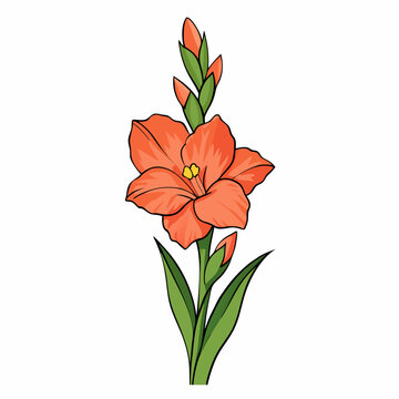 orange flower green stem white background clip art preview