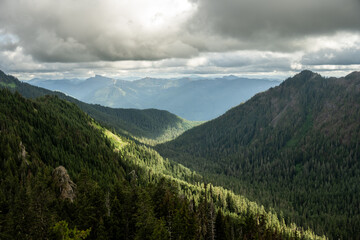 View of Green Forests Over Mountains in the Lowlands of Mount Rainier