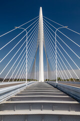 The magnificent and grand bridge